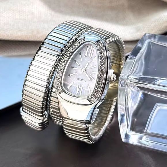 Serpenti Snake Wrap Elegant Silver Women\'s Watch main image 4